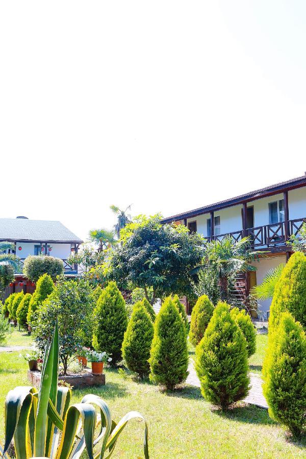 Guest House Alashara Pizunda Exterior foto