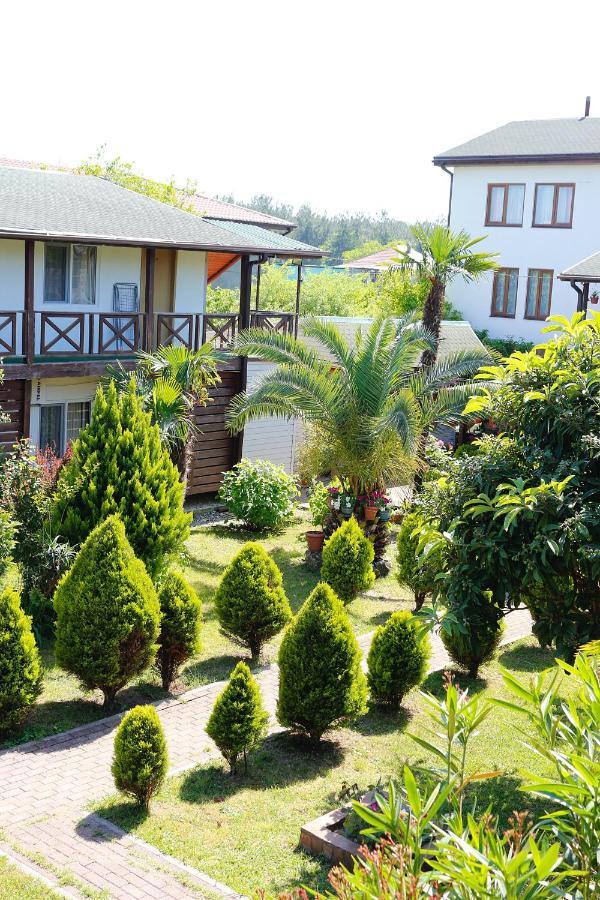 Guest House Alashara Pizunda Exterior foto